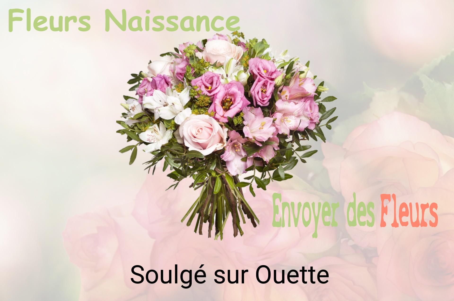 Bouquet de fleurs de naissance livré à Soulgé-sur-Ouette
